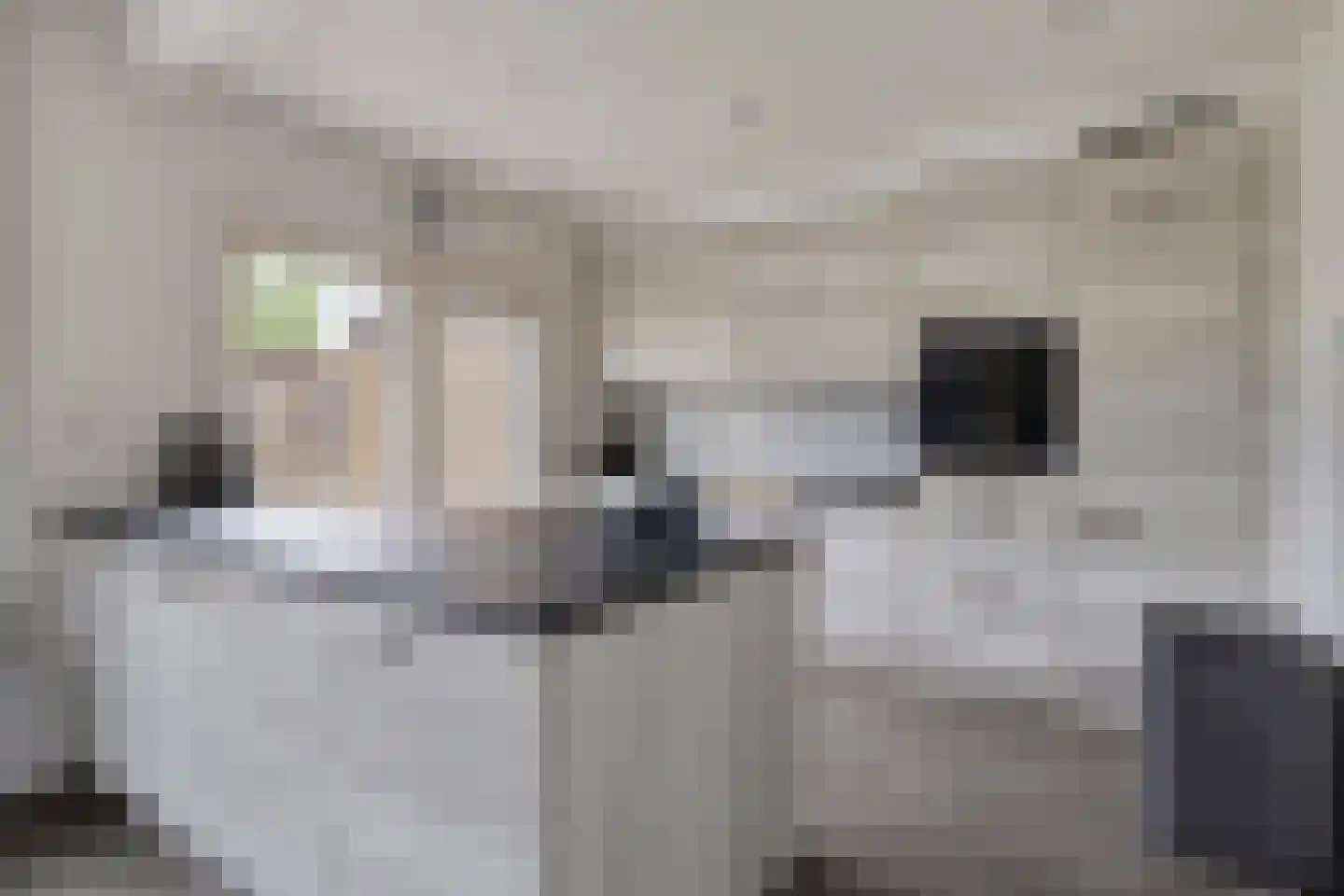 Dullaertstraat 13 Hulst thumbnail 13