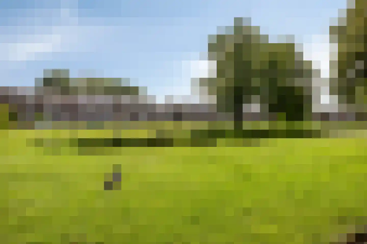 Dullaertstraat 13 Hulst thumbnail 37
