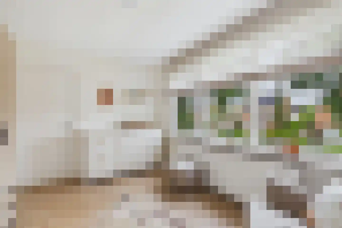 Dullaertstraat 36 Hulst thumbnail 26