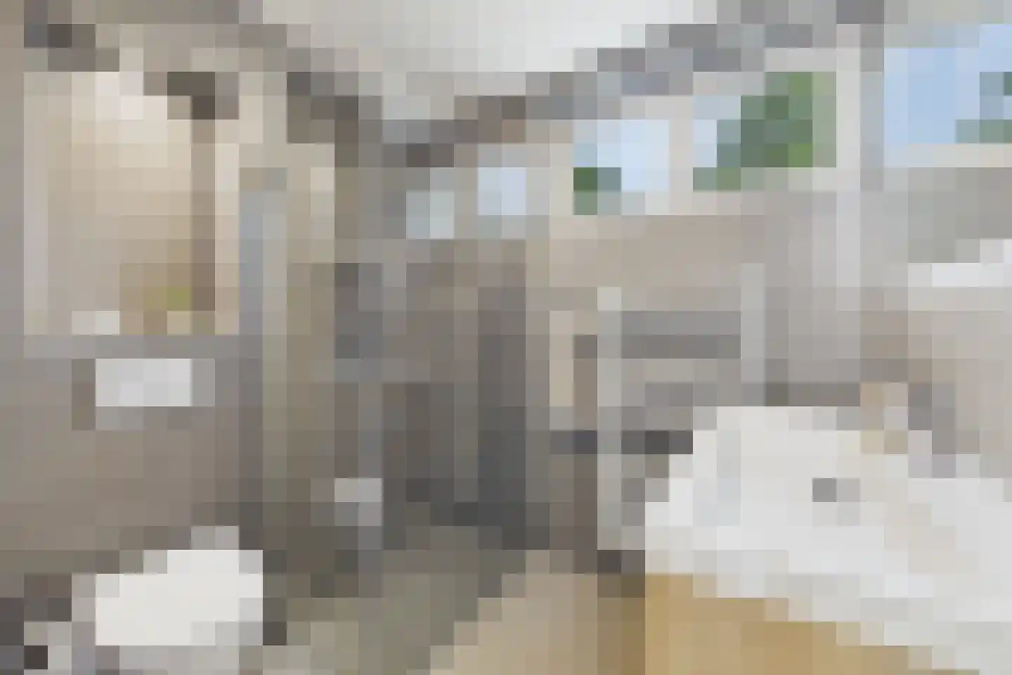 Dullaertstraat 36 Hulst thumbnail 27