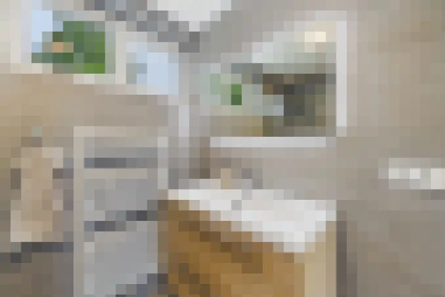 Dullaertstraat 36 Hulst thumbnail 28