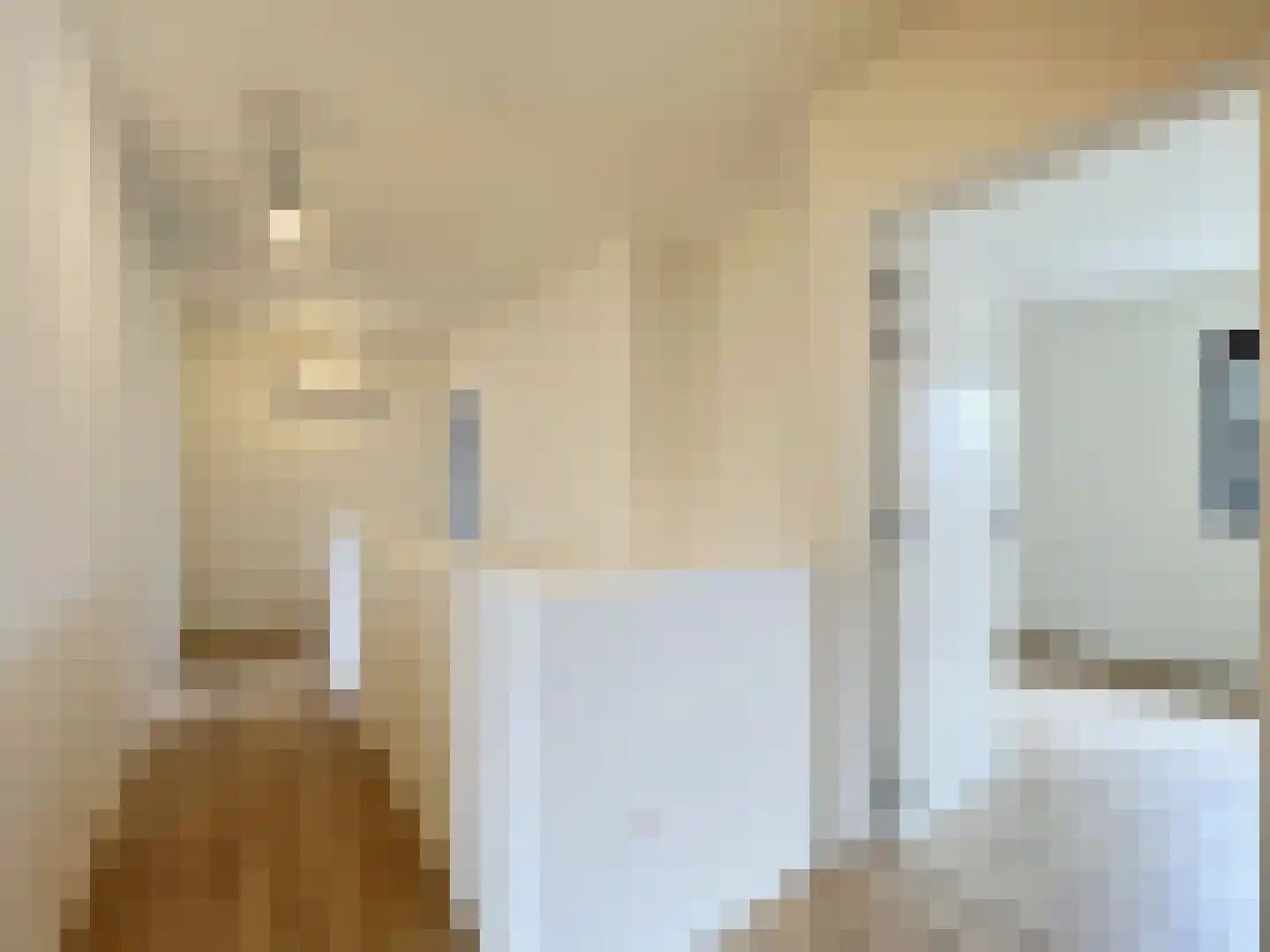 Dullaertstraat 41 a Hulst thumbnail 17