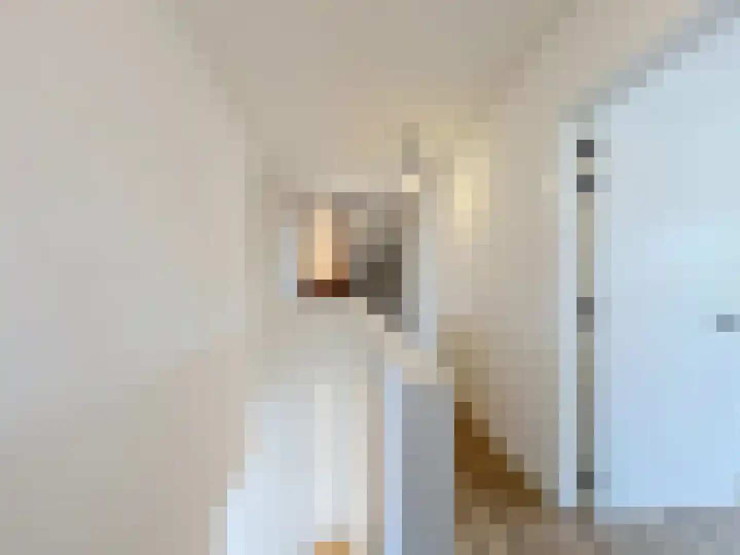 Dullaertstraat 41 a Hulst thumbnail 23
