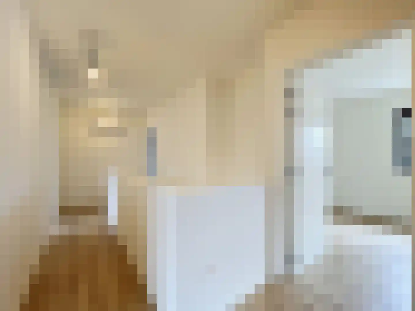 Dullaertstraat 41 a Hulst thumbnail 24
