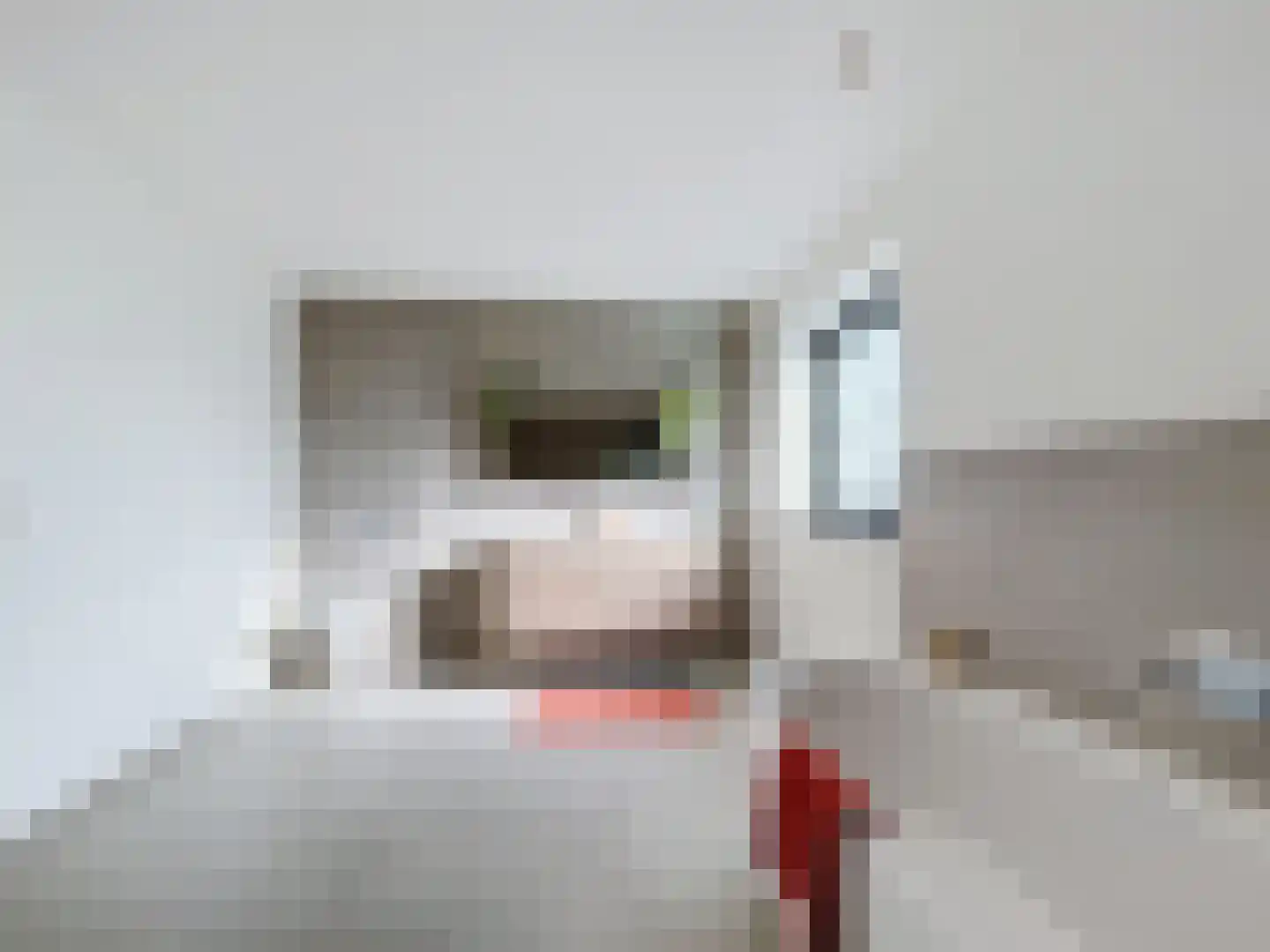 Dullaertstraat 41 a Hulst thumbnail 25