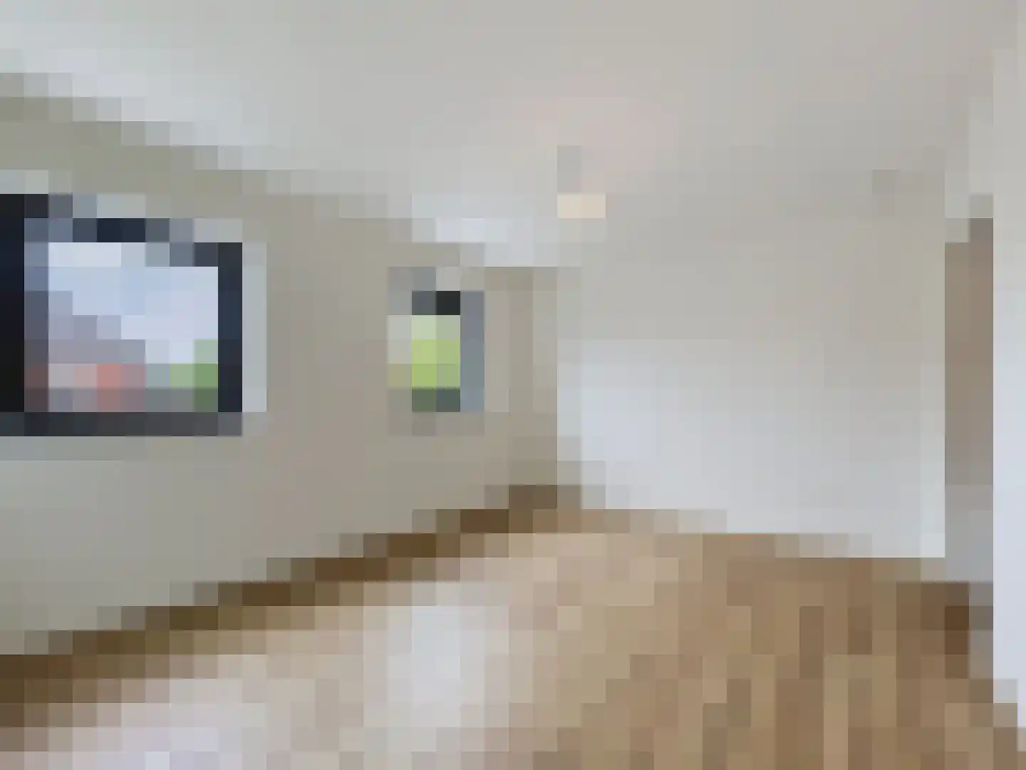 Dullaertstraat 41 a Hulst thumbnail 26
