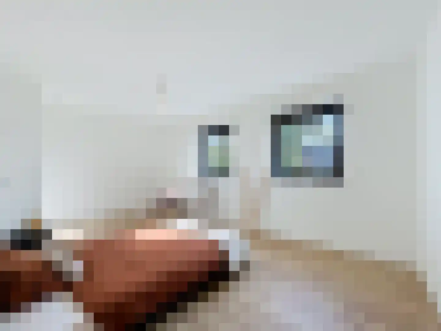 Dullaertstraat 41 a Hulst thumbnail 30