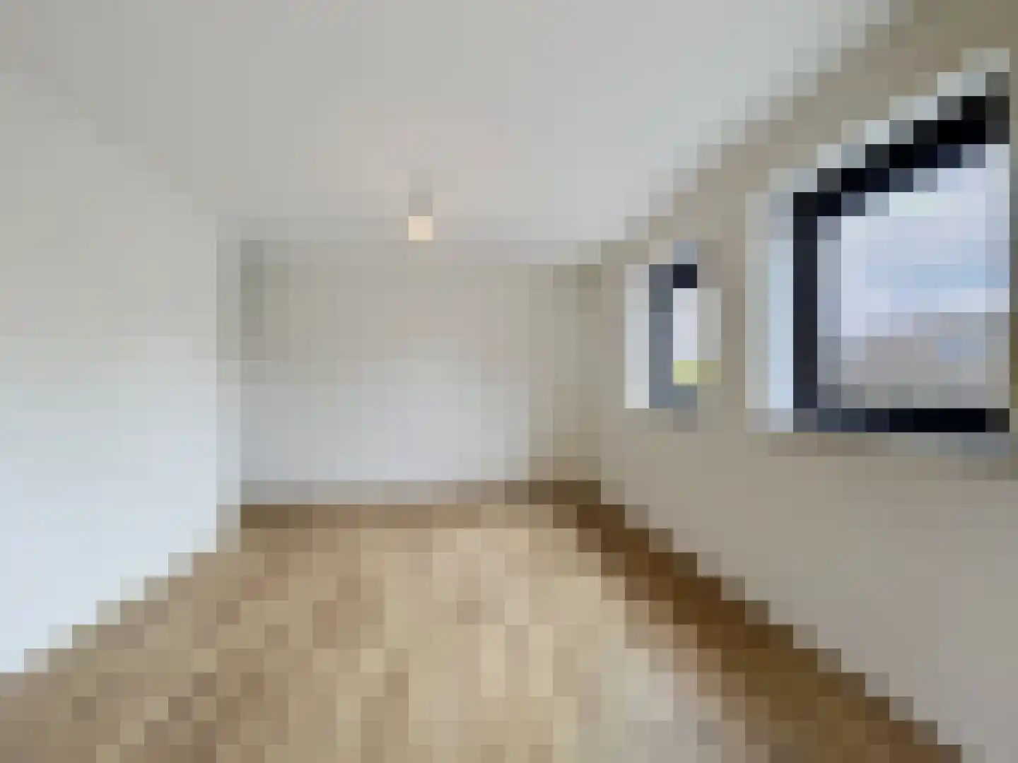 Dullaertstraat 41 a Hulst thumbnail 31