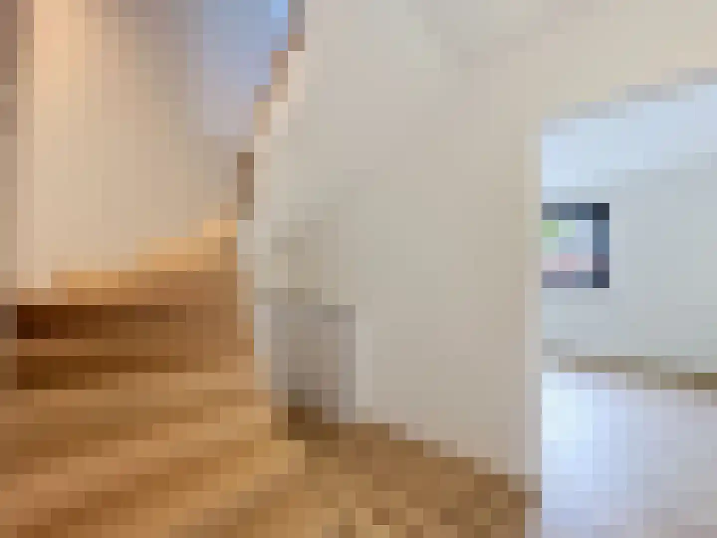Dullaertstraat 41 a Hulst thumbnail 38