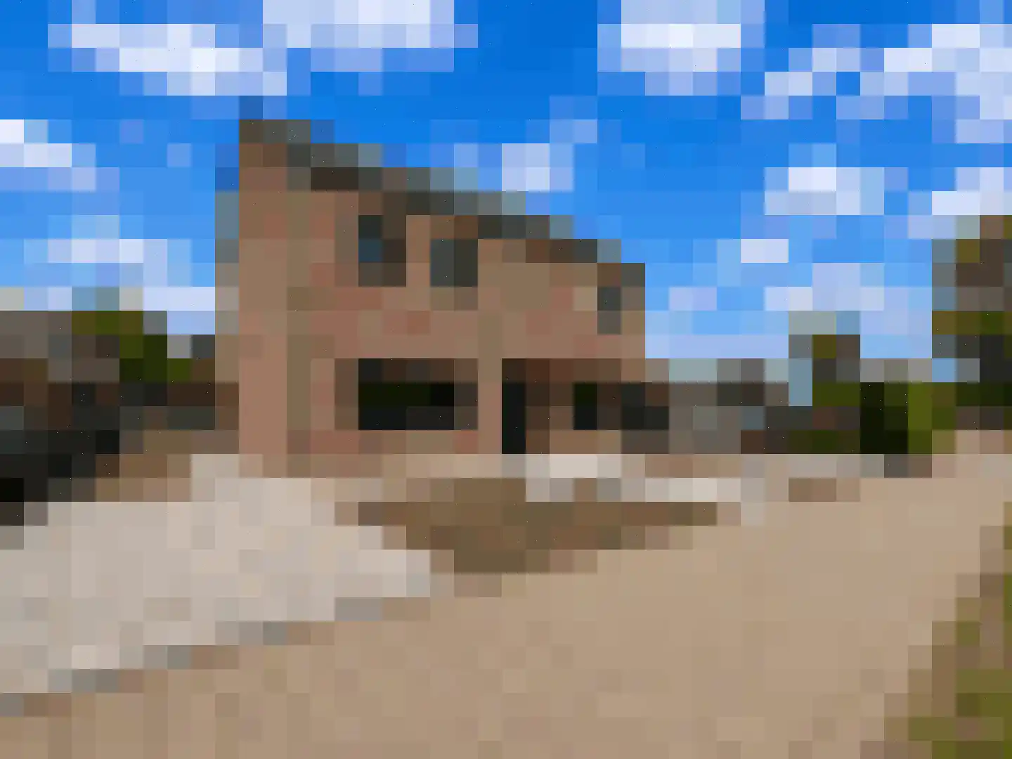Dullaertstraat 41 a Hulst thumbnail 50