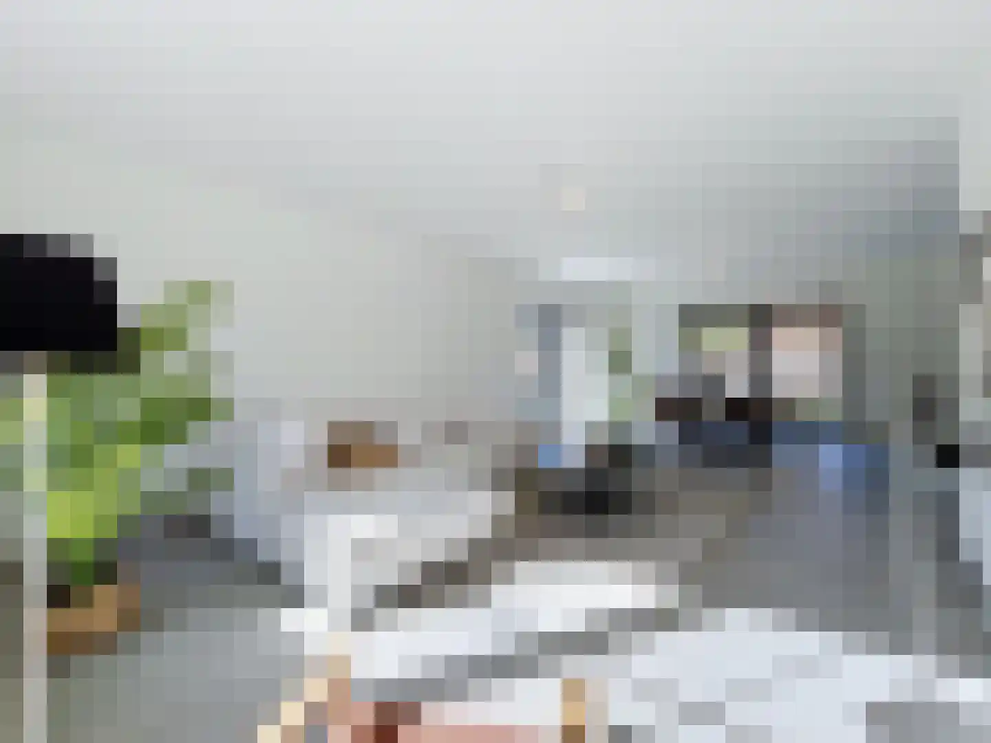 Dullaertstraat 41 a Hulst thumbnail 7
