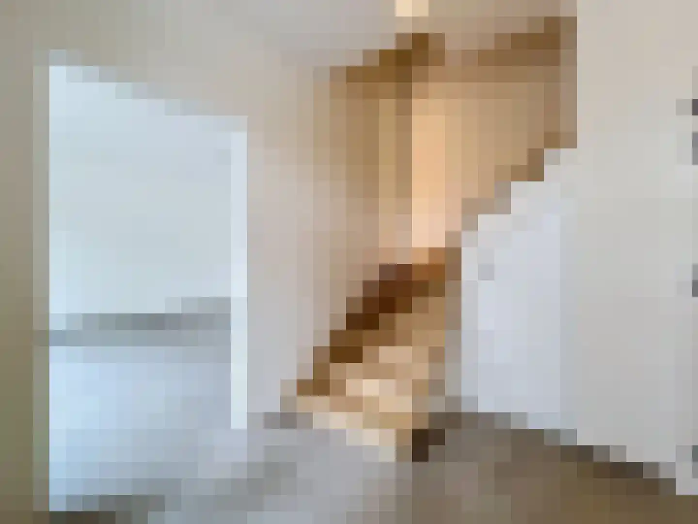 Dullaertstraat 41 a Hulst thumbnail 9