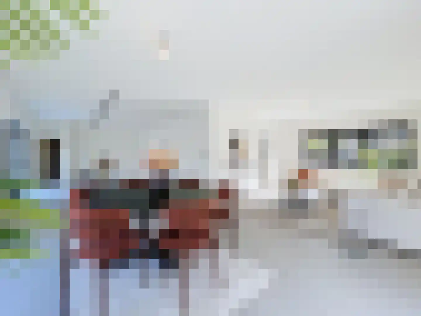 Dullaertstraat 41 a Hulst thumbnail 9