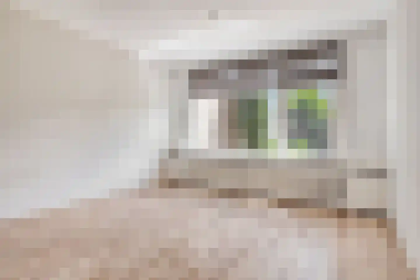 Dullaertstraat 44 Hulst thumbnail 10