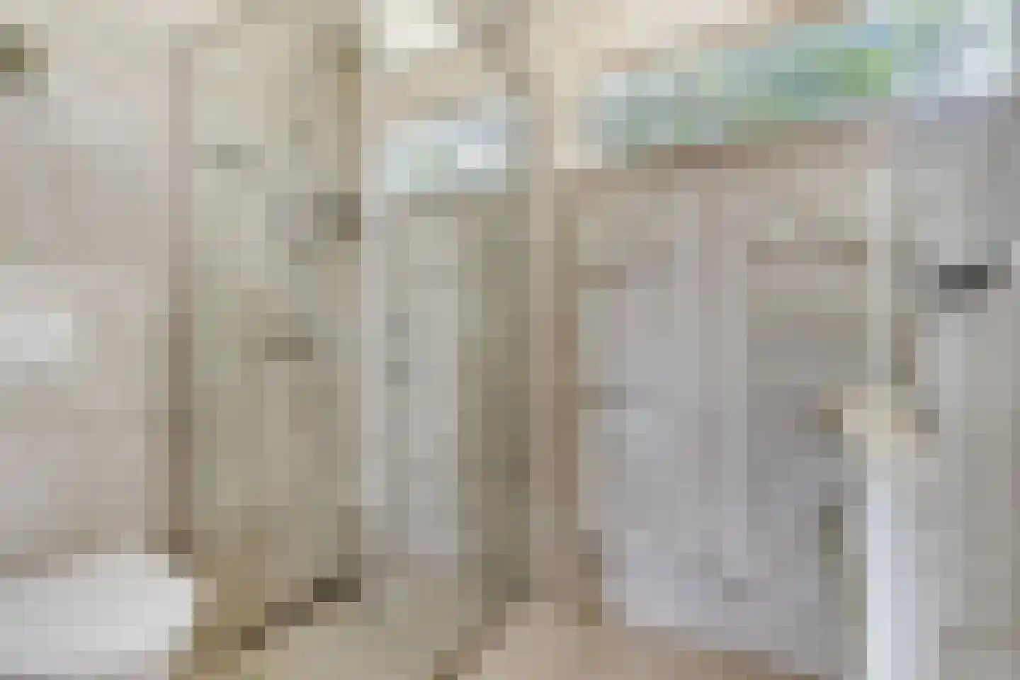 Dullaertstraat 44 Hulst thumbnail 18