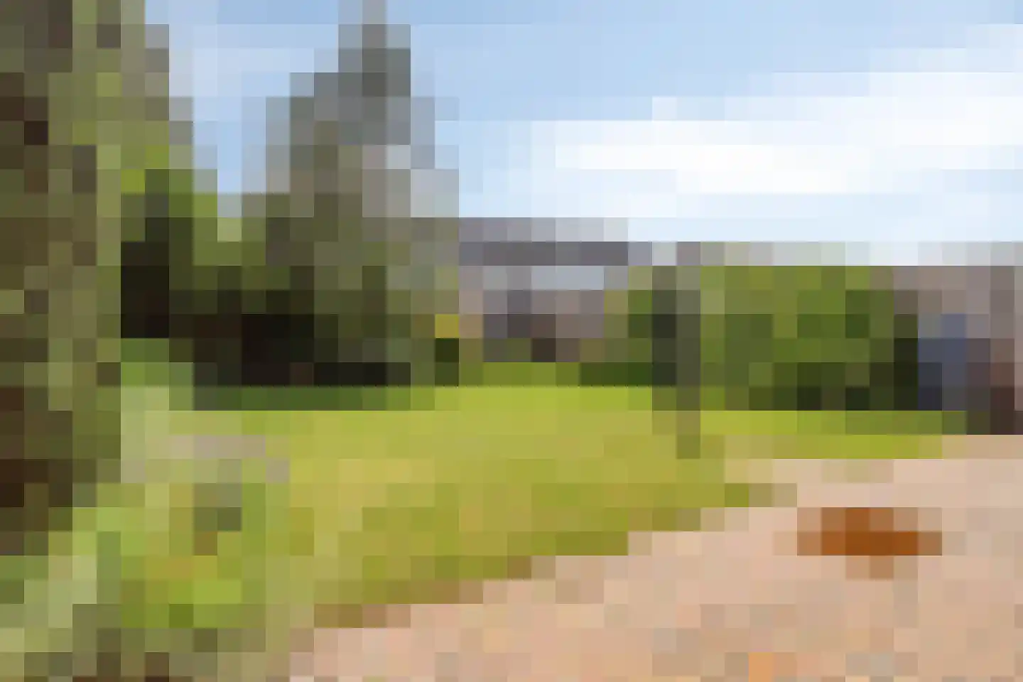 Dullaertstraat 44 Hulst thumbnail 27