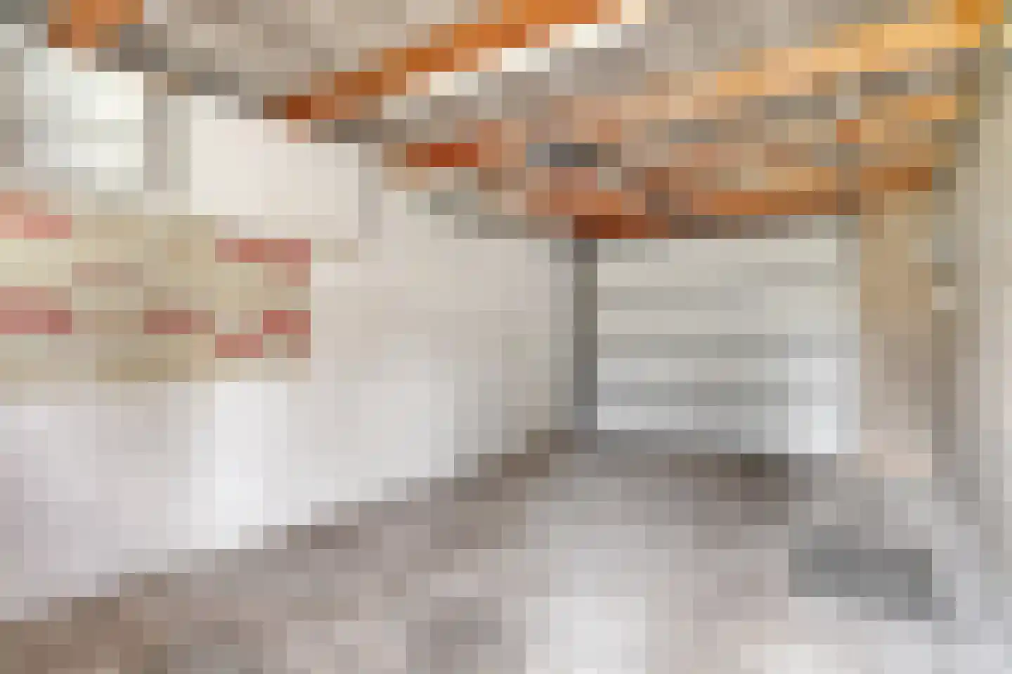 Dullaertstraat 44 Hulst thumbnail 31