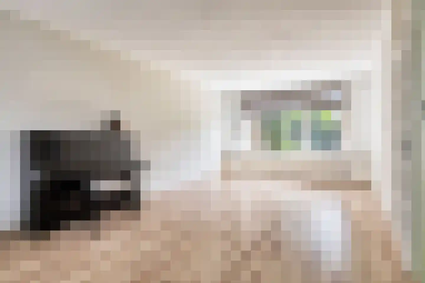 Dullaertstraat 44 Hulst thumbnail 8