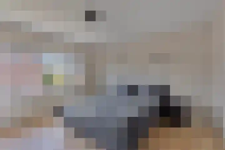 Dullaertstraat 6 Hulst thumbnail 12