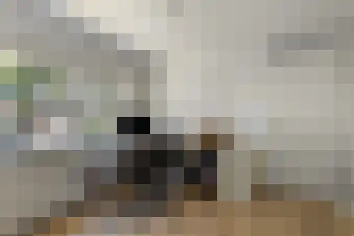 Dullaertstraat 6 Hulst thumbnail 15