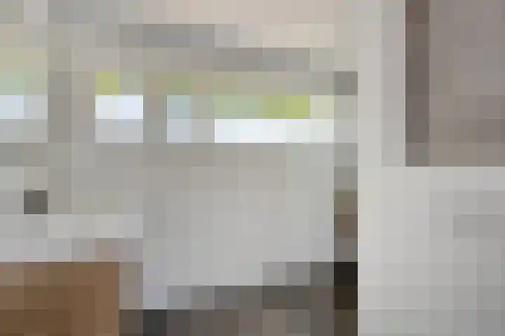 Dullaertstraat 6 Hulst thumbnail 16