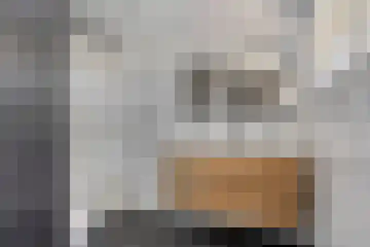 Dullaertstraat 6 Hulst thumbnail 17