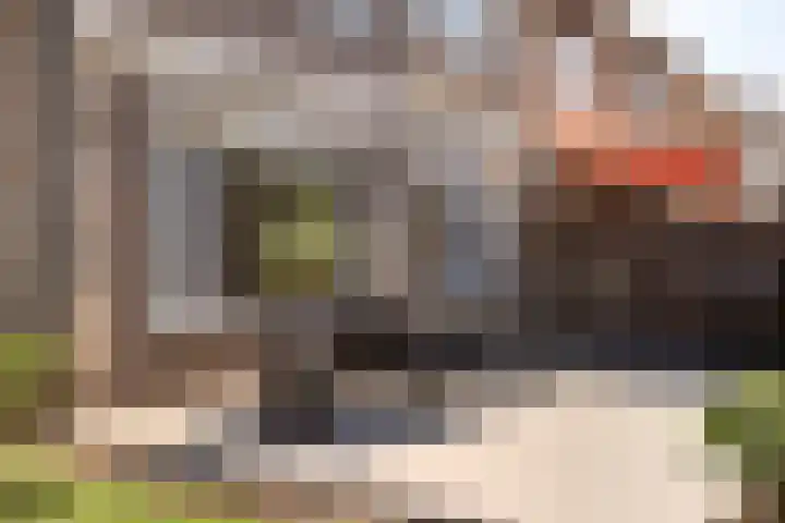 Dullaertstraat 6 Hulst thumbnail 19