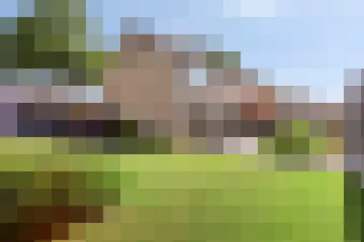 Dullaertstraat 6 Hulst thumbnail 22