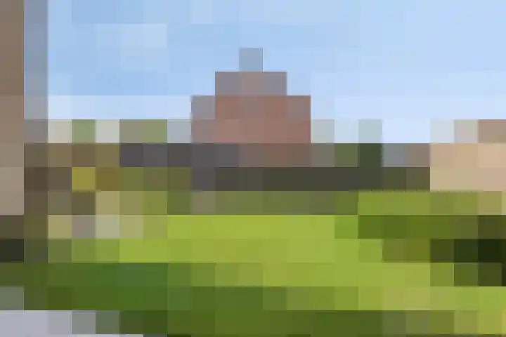 Dullaertstraat 6 Hulst thumbnail 25