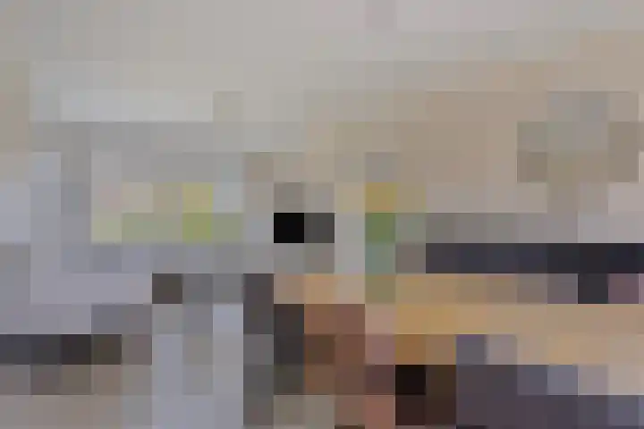 Dullaertstraat 6 Hulst thumbnail 7