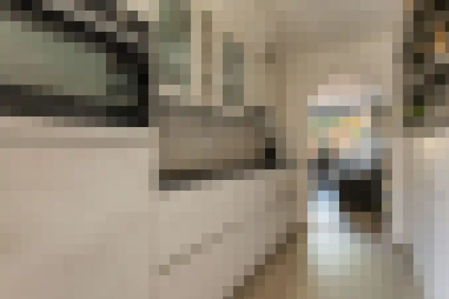 Dullemansstukken 7 Eelde thumbnail 10