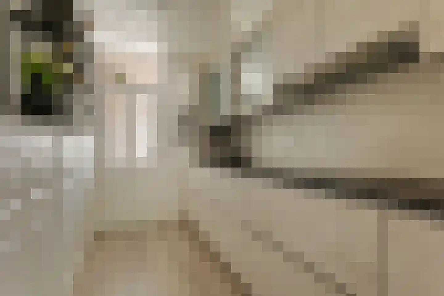 Dullemansstukken 7 Eelde thumbnail 11