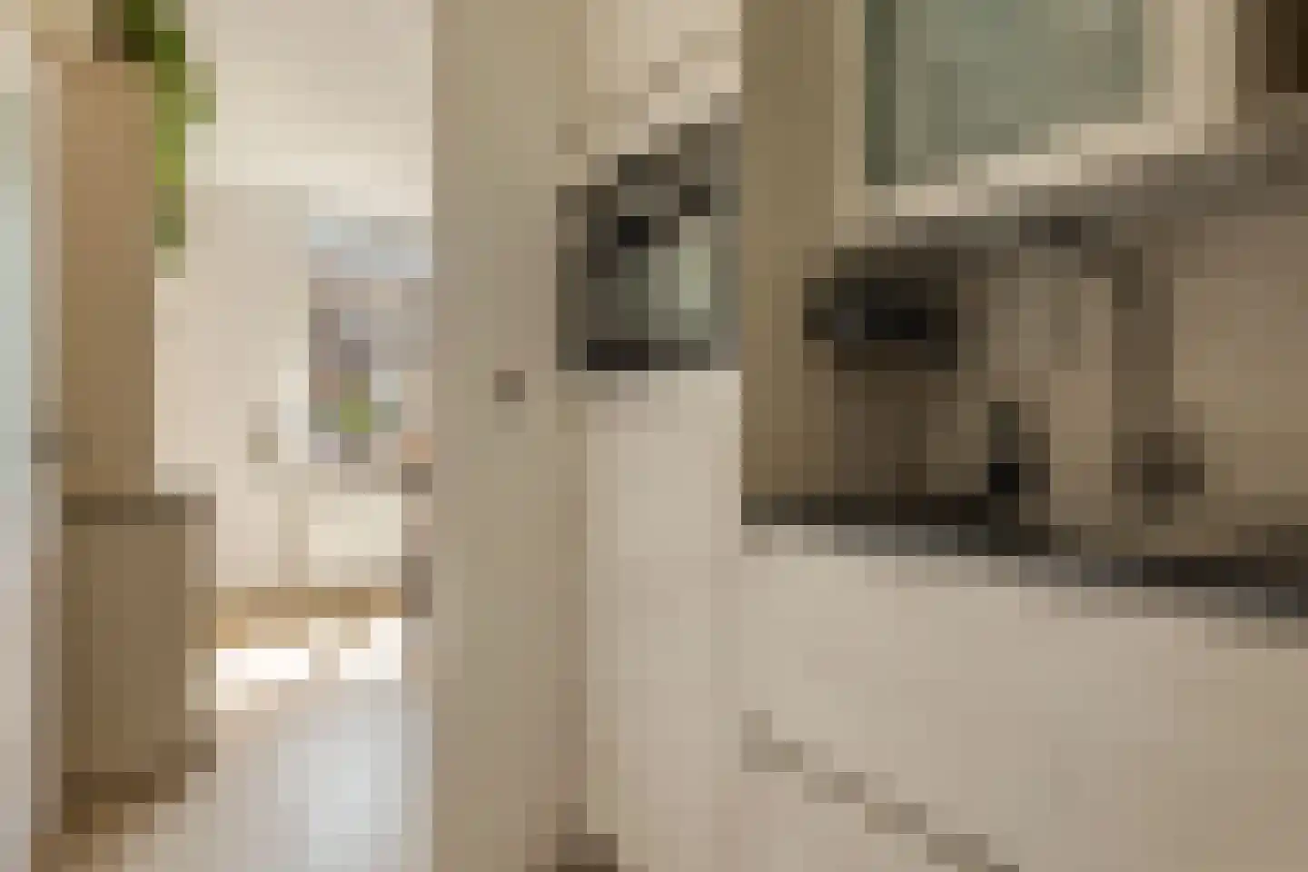Dullemansstukken 7 Eelde thumbnail 12