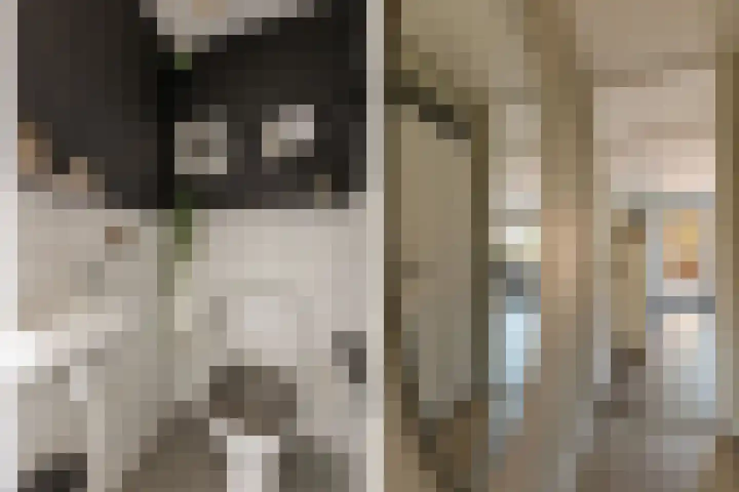 Dullemansstukken 7 Eelde thumbnail 15
