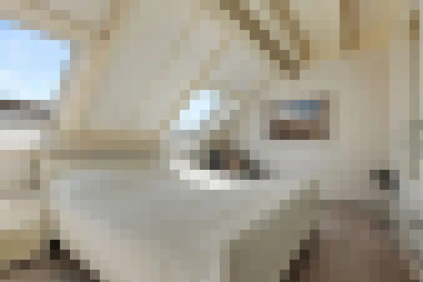Dullemansstukken 7 Eelde thumbnail 16