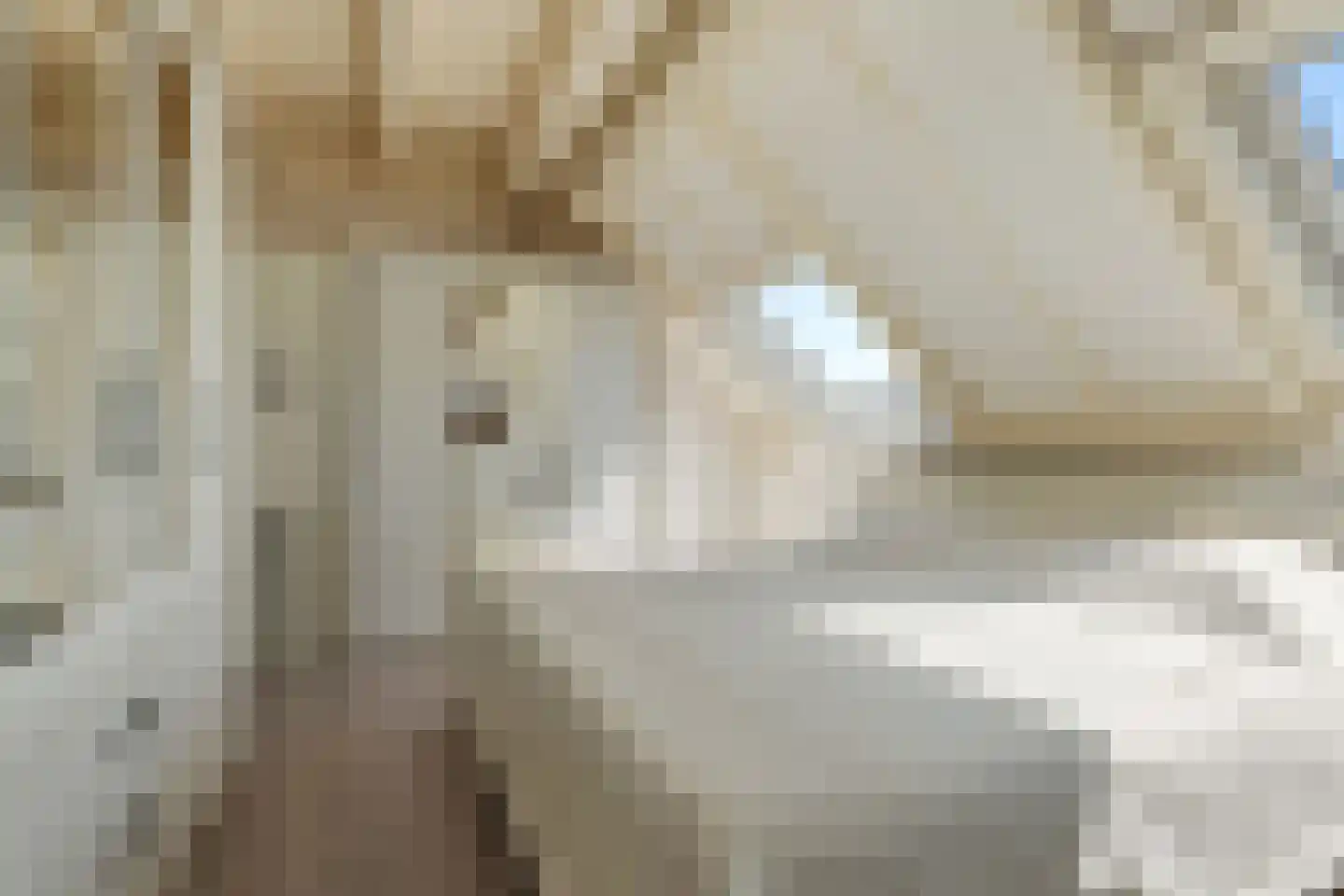 Dullemansstukken 7 Eelde thumbnail 17