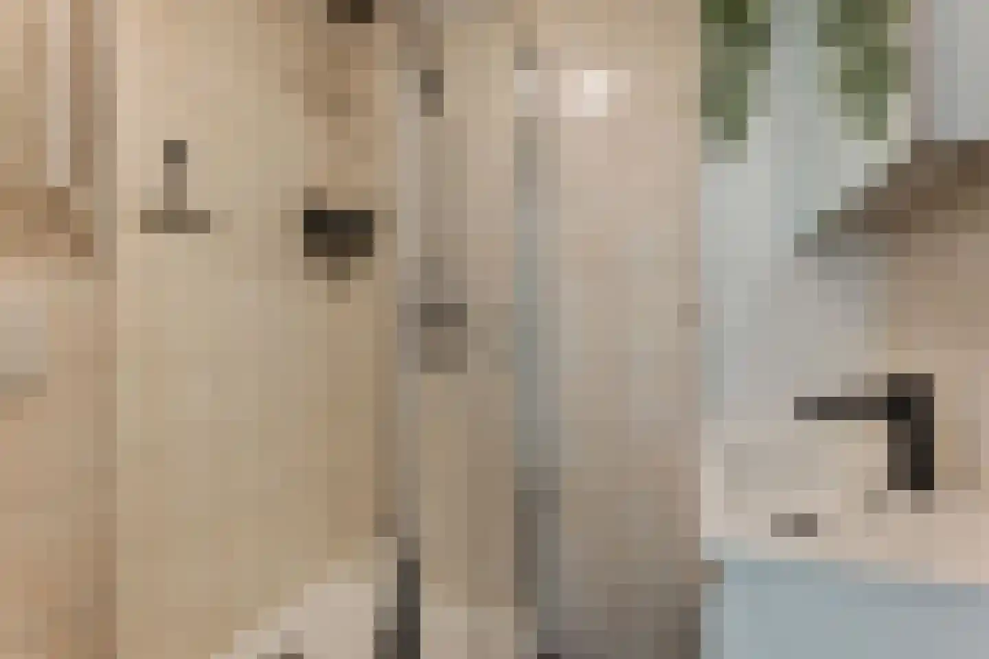 Dullemansstukken 7 Eelde thumbnail 20