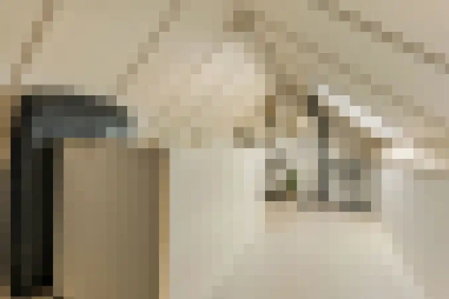 Dullemansstukken 7 Eelde thumbnail 22