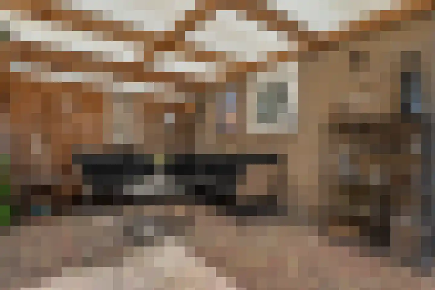 Dullemansstukken 7 Eelde thumbnail 26