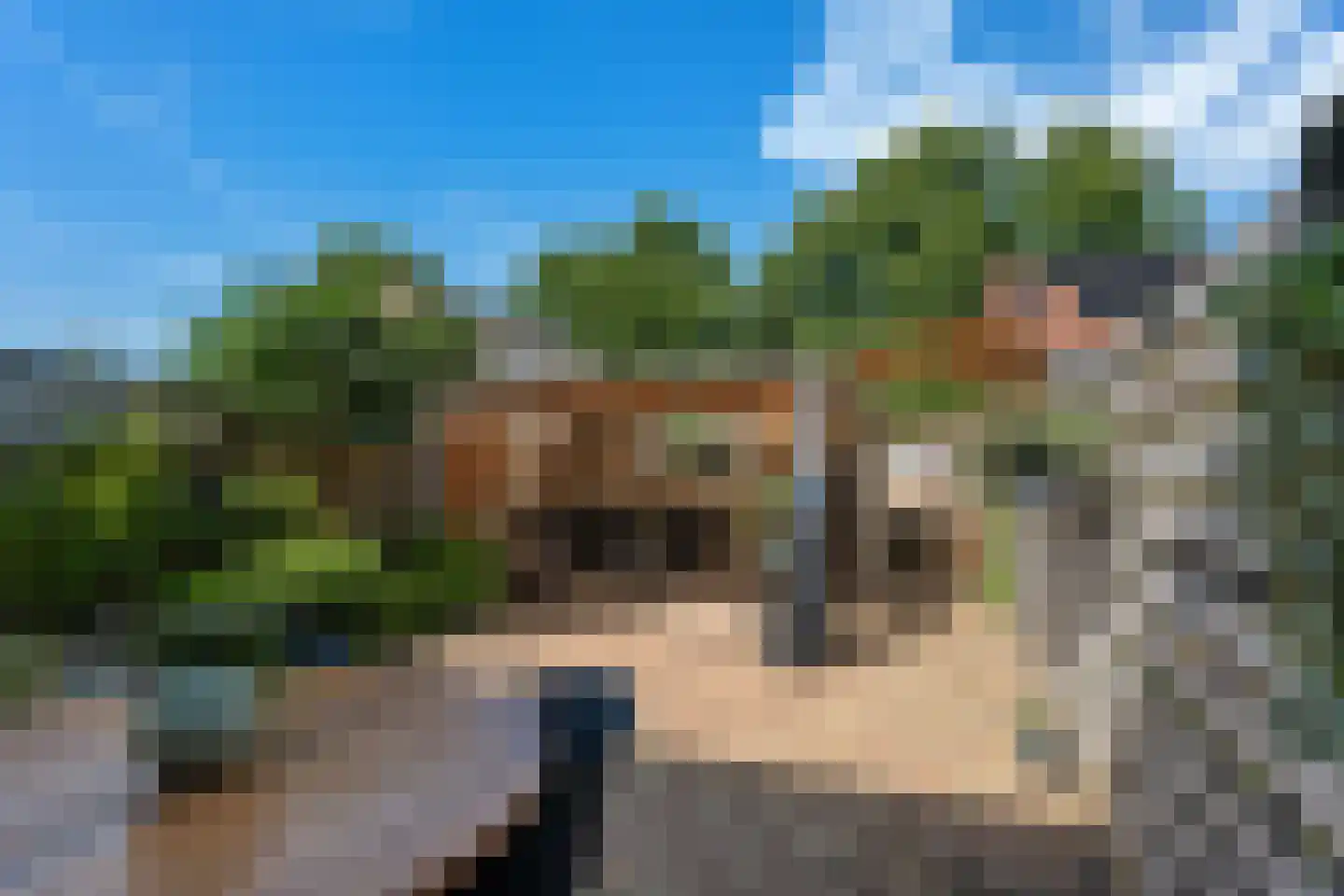 Dullemansstukken 7 Eelde thumbnail 5