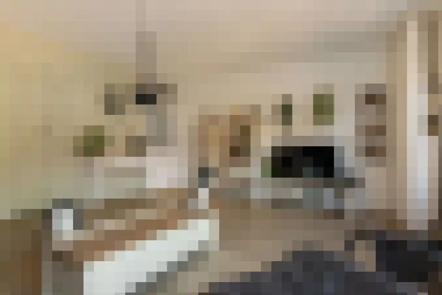 Dullemansstukken 7 Eelde thumbnail 8