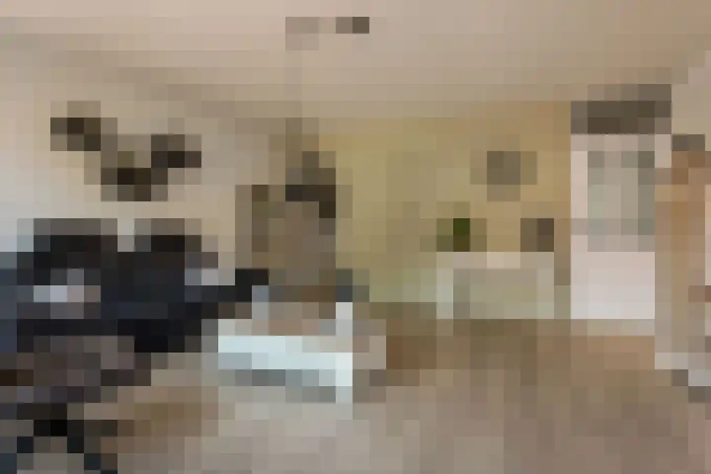 Dullemansstukken 7 Eelde thumbnail 9