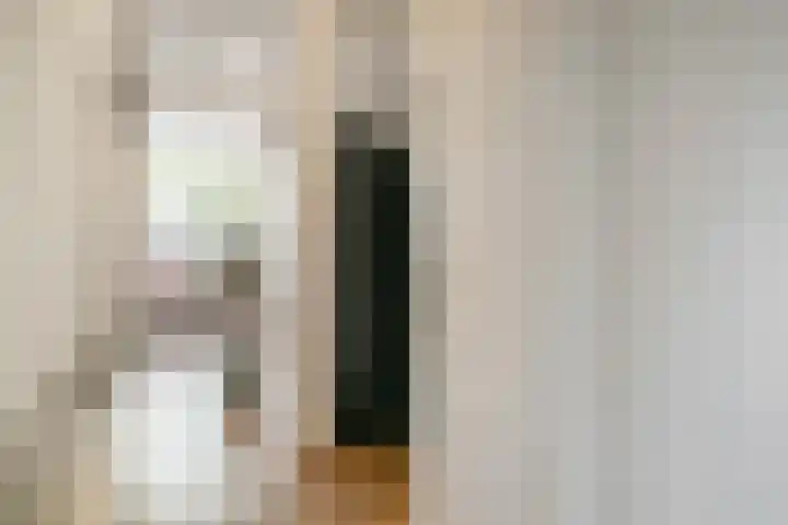 Dullert 46 Huissen thumbnail 12