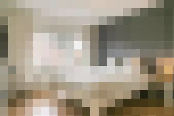 Dullert 46 Huissen thumbnail 14