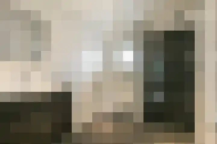 Dullert 46 Huissen thumbnail 19