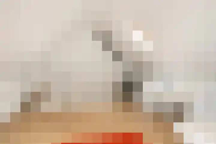 Dullert 46 Huissen thumbnail 23