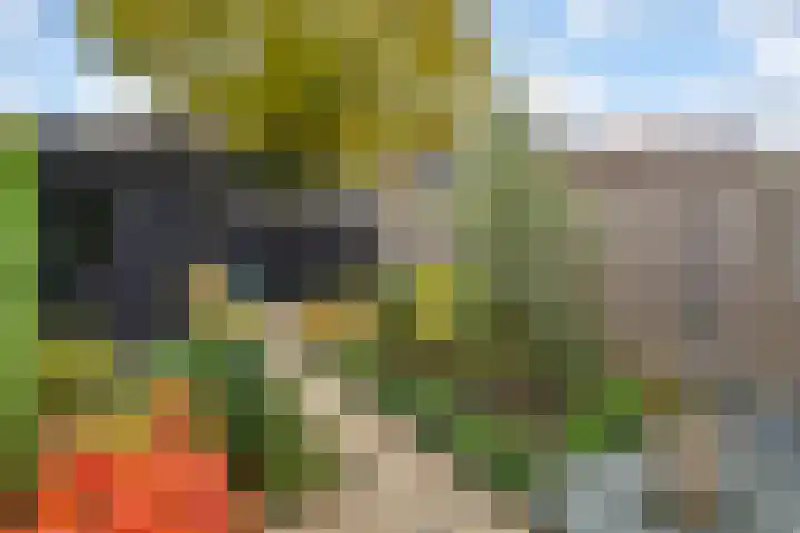 Dullert 46 Huissen thumbnail 25