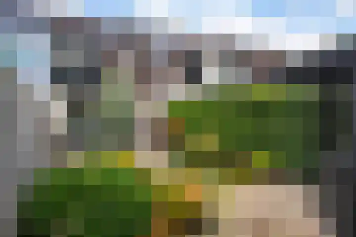 Dullert 46 Huissen thumbnail 27