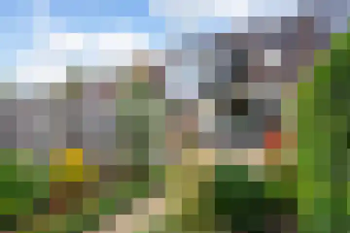 Dullert 46 Huissen thumbnail 28