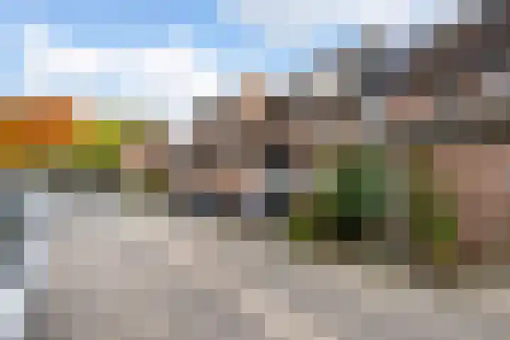 Dullert 46 Huissen thumbnail 31